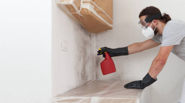 Professional Bathroom Mold Removal technician working in Lombard, IL